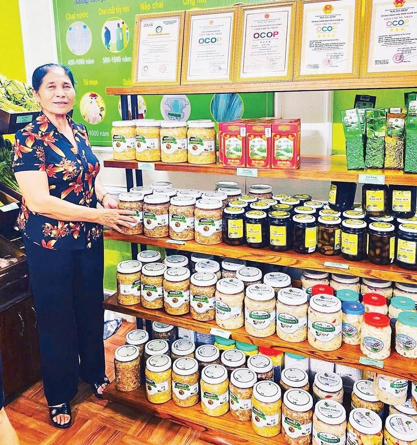 Từ Hương Vị Dân Dã Đến Niềm Tự Hào Họ Hồ – Câu Chuyện “Nhút Bà Quế” Thanh Chương